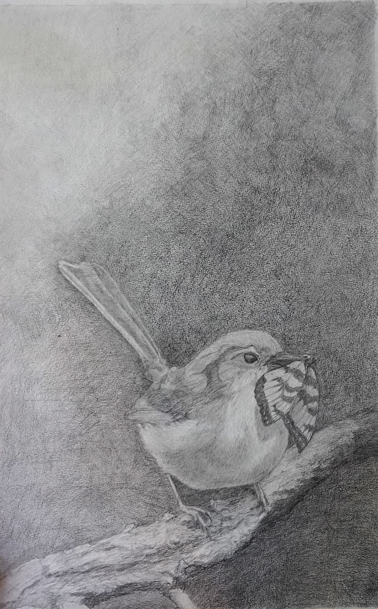 Artwork by Tamara De Maine — Sweet Death Drawing