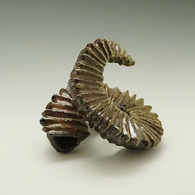 Fossil — Wood-fired stoneware sculpture